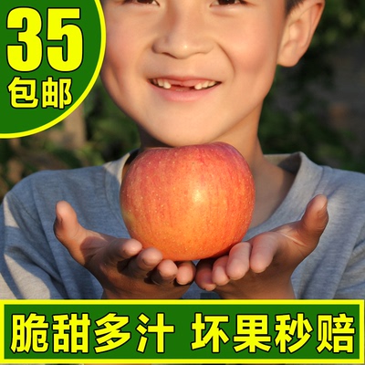 新鲜烟台栖霞苹果正宗山东特产红富士水果脆甜5斤45241939634959