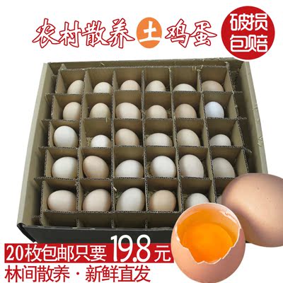 新鲜农村散养土鸡蛋 散养鸡蛋 土鸡蛋柴鸡蛋笨鸡蛋 20枚包邮