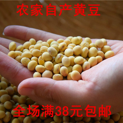 黄豆 非转基因 沂蒙山农户自种小黄豆 可发豆芽豆浆250g 满额包邮