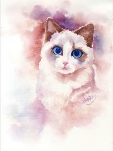 水彩水粉风格布偶猫咪挂画壁画无框画装饰画4030尺寸两幅九折包邮