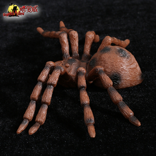哈罗威18531万圣节鬼节玩具装饰中号黑色花塑胶蜘蛛18531