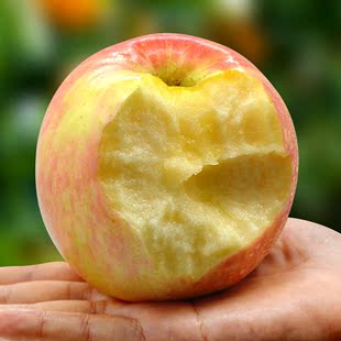 山东大苹果 烟台特产水果新鲜条纹苹果非洛川水晶红富士5斤包邮