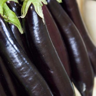 陕西宝鸡农家新鲜蔬菜茄子有机肥种植每日现摘茄子500g特价促销品