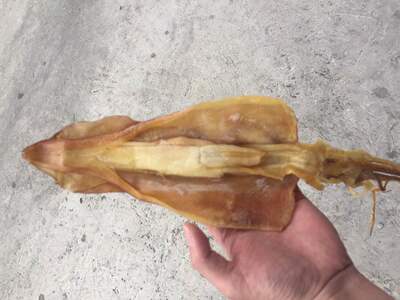 东山岛 野生 鱿鱼母干 特母 1斤5-8个