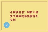 小猫软骨素：呵护小猫关节健康的必备营养补充剂