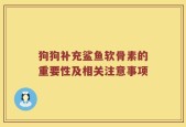 狗狗补充鲨鱼软骨素的重要性及相关注意事项