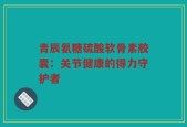 青辰氨糖硫酸软骨素胶囊：关节健康的得力守护者