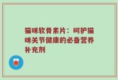 猫咪软骨素片：呵护猫咪关节健康的必备营养补充剂