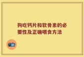 狗吃钙片和软骨素的必要性及正确喂食方法