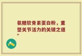 氨糖软骨素蛋白粉，重塑关节活力的关键之道”