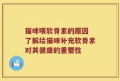 猫咪喂软骨素的原因 了解给猫咪补充软骨素对其健康的重要性