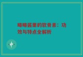略略酱里的软骨素：功效与特点全解析