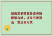 献善堂氨糖软骨素骨胶原蛋白肽，让关节更灵活，生活更无忧
