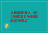关节滋润的秘诀：GNC氨糖软骨素与透明质酸的完美组合”