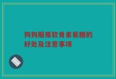 狗狗服用软骨素氨糖的好处及注意事项
