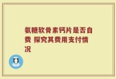 氨糖软骨素钙片是否自费 探究其费用支付情况