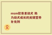 msm软骨素幼犬 助力幼犬成长的关键营养补充剂