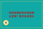 狗狗氨糖软骨素真的那么管用？爱犬主必看大