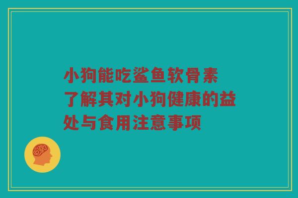 小狗能吃鲨鱼软骨素 了解其对小狗健康的益处与食用注意事项 小狗能吃鲨鱼软骨素 了解其对小狗健康的益处与食用注意事项
