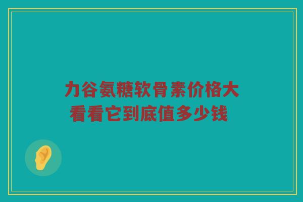 力谷氨糖软骨素价格大 看看它到底值多少钱
