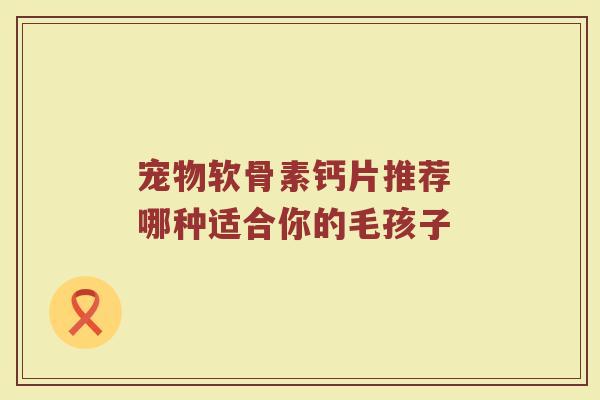 宠物软骨素钙片推荐 哪种适合你的毛孩子 宠物软骨素钙片推荐 哪种适合你的毛孩子