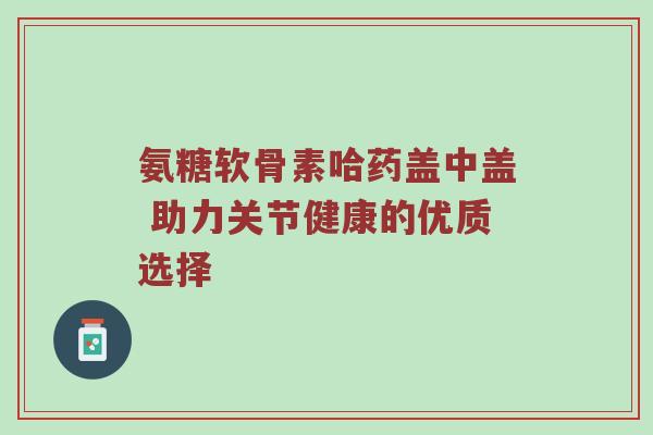 氨糖软骨素哈药盖中盖 助力关节健康的优质选择 氨糖软骨素哈药盖中盖 助力关节健康的优质选择