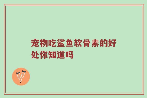 宠物吃鲨鱼软骨素的好处你知道吗