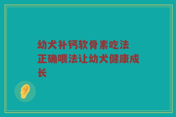 幼犬补钙软骨素吃法 正确喂法让幼犬健康成长 幼犬补钙软骨素吃法 正确喂法让幼犬健康成长