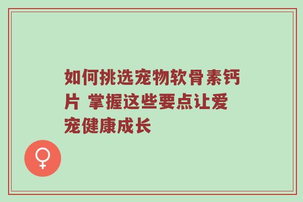 如何挑选宠物软骨素钙片 掌握这些要点让爱宠健康成长