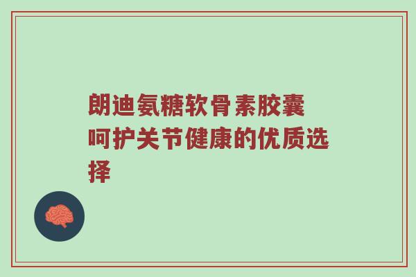 朗迪氨糖软骨素胶囊 呵护关节健康的优质选择