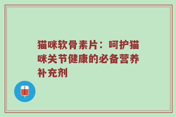 猫咪软骨素片：呵护猫咪关节健康的必备营养补充剂