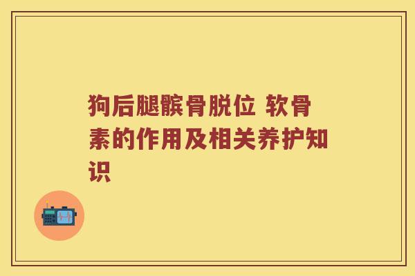 狗后腿髌骨脱位 软骨素的作用及相关养护知识 狗后腿髌骨脱位 软骨素的作用及相关养护知识
