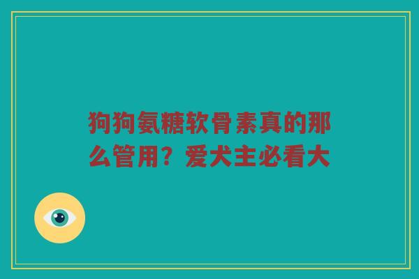 狗狗氨糖软骨素真的那么管用？爱犬主必看大