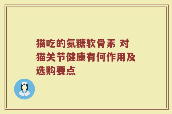 猫吃的氨糖软骨素 对猫关节健康有何作用及选购要点