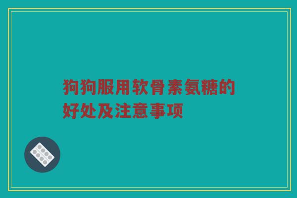 狗狗服用软骨素氨糖的好处及注意事项 狗狗服用软骨素氨糖的好处及注意事项