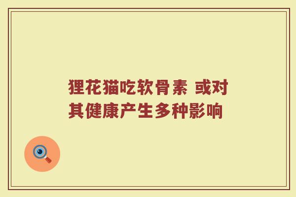 狸花猫吃软骨素 或对其健康产生多种影响