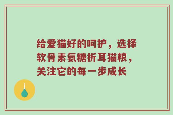 给爱猫好的呵护，选择软骨素氨糖折耳猫粮，关注它的每一步成长