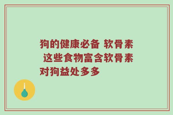 狗的健康必备 软骨素 这些食物富含软骨素对狗益处多多 狗的健康必备 软骨素 这些食物富含软骨素对狗益处多多