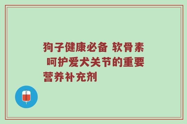 狗子健康必备 软骨素 呵护爱犬关节的重要营养补充剂 狗子健康必备 软骨素 呵护爱犬关节的重要营养补充剂