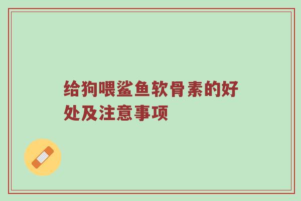 给狗喂鲨鱼软骨素的好处及注意事项