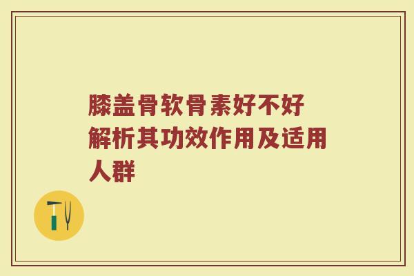 膝盖骨软骨素好不好 解析其功效作用及适用人群 膝盖骨软骨素好不好 解析其功效作用及适用人群
