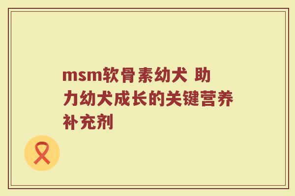 msm软骨素幼犬 助力幼犬成长的关键营养补充剂