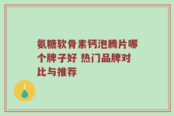 氨糖软骨素钙泡腾片哪个牌子好 热门品牌对比与推荐