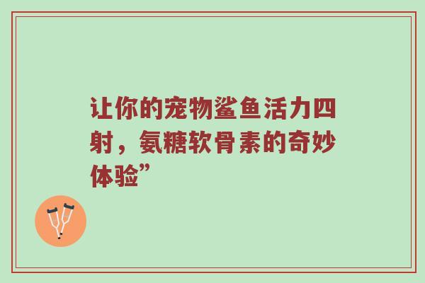 让你的宠物鲨鱼活力四射，氨糖软骨素的奇妙体验”