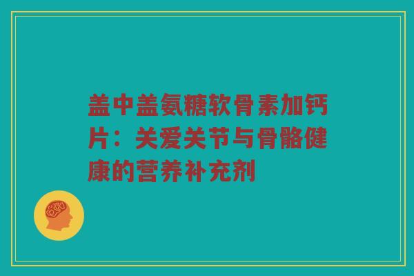 盖中盖氨糖软骨素加钙片：关爱关节与骨骼健康的营养补充剂