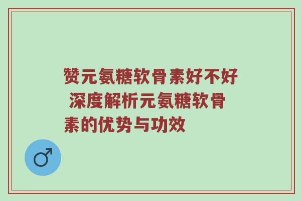 赞元氨糖软骨素好不好 深度解析元氨糖软骨素的优势与功效 赞元氨糖软骨素好不好 深度解析元氨糖软骨素的优势与功效