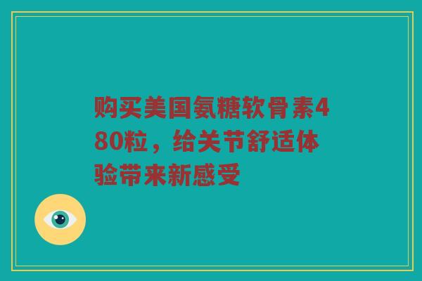 购买美国氨糖软骨素480粒,给关节舒适体验带来新感受 购买美国氨糖软骨素480粒,给关节舒适体验带来新感受