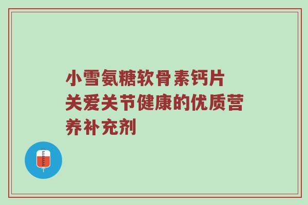 小雪氨糖软骨素钙片 关爱关节健康的优质营养补充剂 小雪氨糖软骨素钙片 关爱关节健康的优质营养补充剂