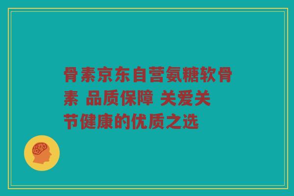 骨素京东自营氨糖软骨素 品质保障 关爱关节健康的优质之选
