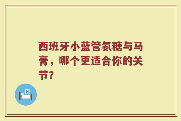 西班牙小蓝管氨糖与马膏，哪个更适合你的关节？